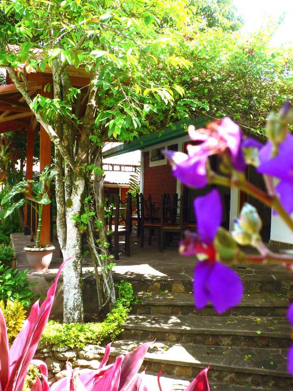 Bubinzana Magical Lodge Tarapoto Zewnętrze zdjęcie